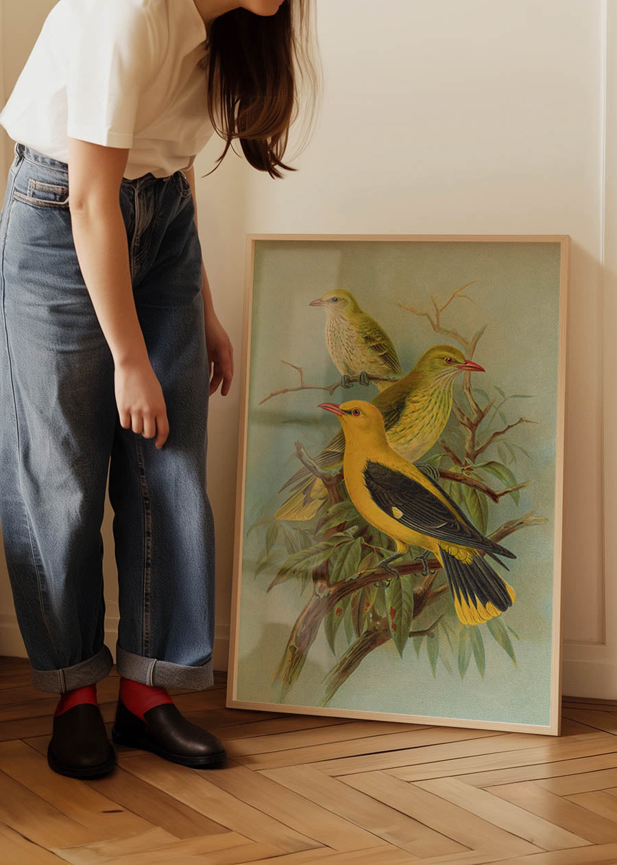 Golden Oriole Vintage Bird Print by Johann Friedrich Naumann