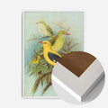 White Wood Frame