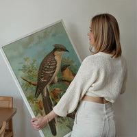 Jacobin Cuckoo Vintage Bird Print by Johann Friedrich Naumann