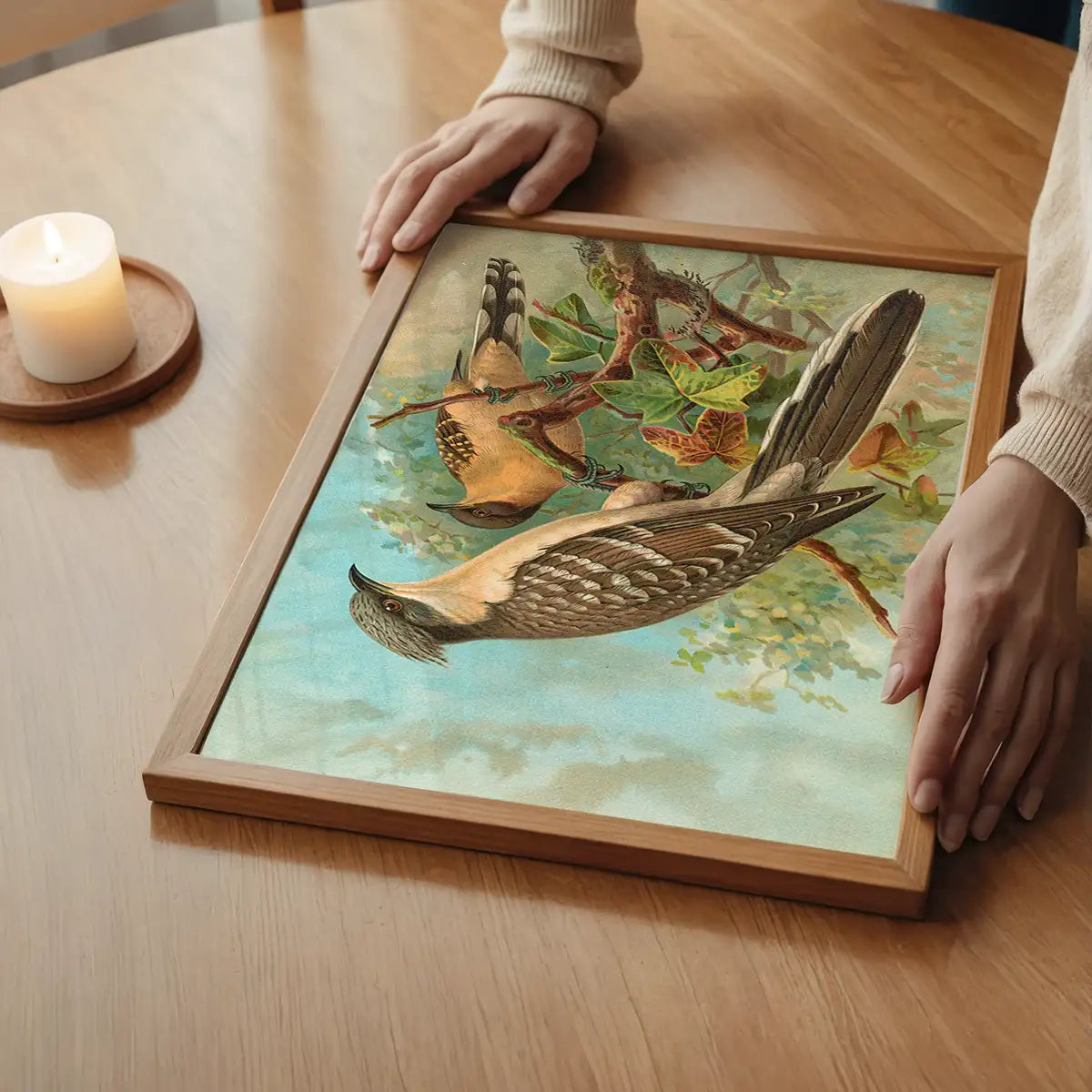 Jacobin Cuckoo Vintage Bird Print by Johann Friedrich Naumann