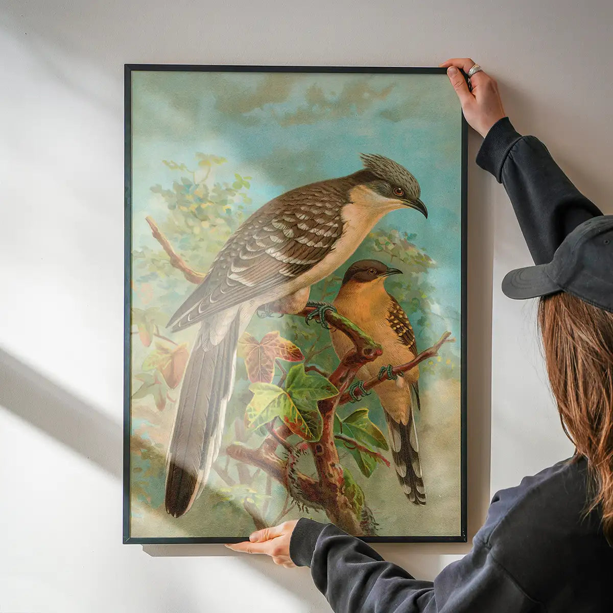Jacobin Cuckoo Vintage Bird Print by Johann Friedrich Naumann