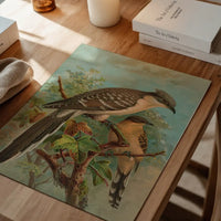 Jacobin Cuckoo Vintage Bird Print by Johann Friedrich Naumann