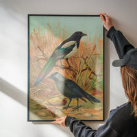 Magpies Vintage Bird Print by Johann Friedrich Naumann