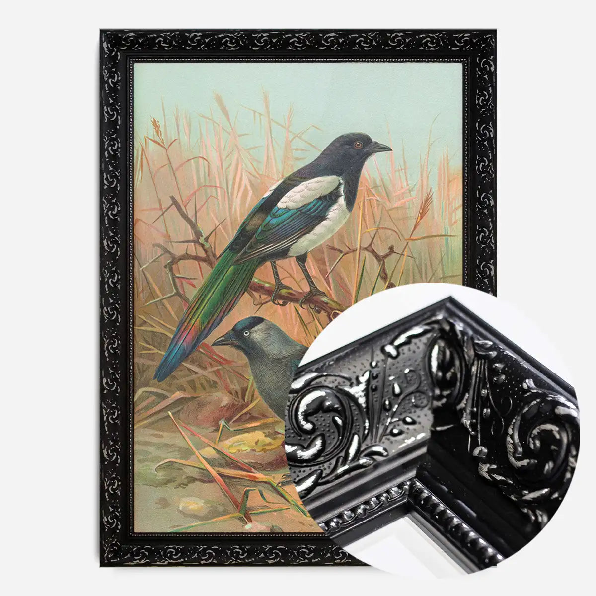 Magpies Vintage Bird Print by Johann Friedrich Naumann