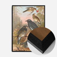 Siberian Thrush Vintage Bird Print by Johann Friedrich Naumann