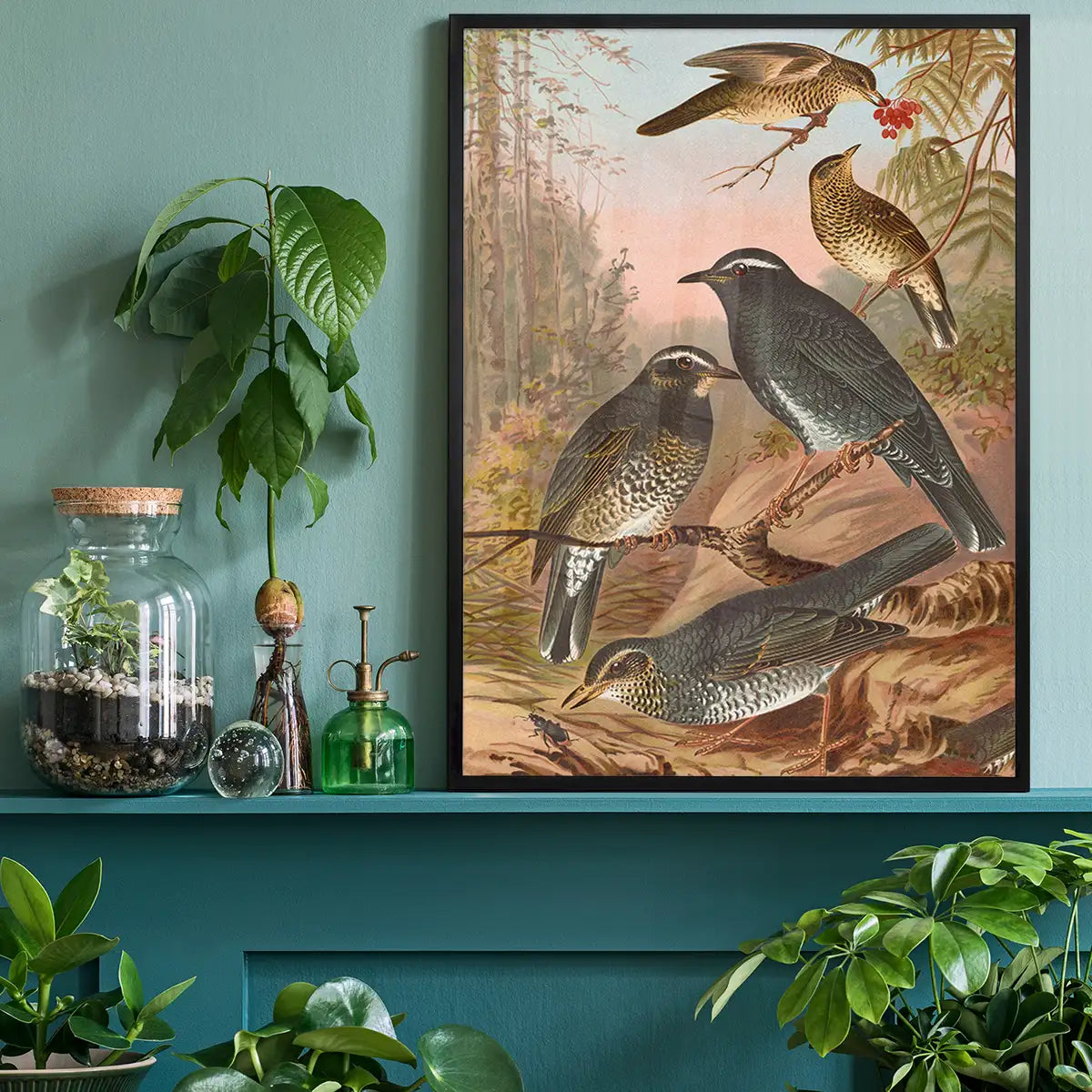 Siberian Thrush Vintage Bird Print by Johann Friedrich Naumann
