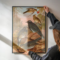 Siberian Thrush Vintage Bird Print by Johann Friedrich Naumann