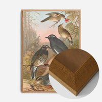 Siberian Thrush Vintage Bird Print by Johann Friedrich Naumann