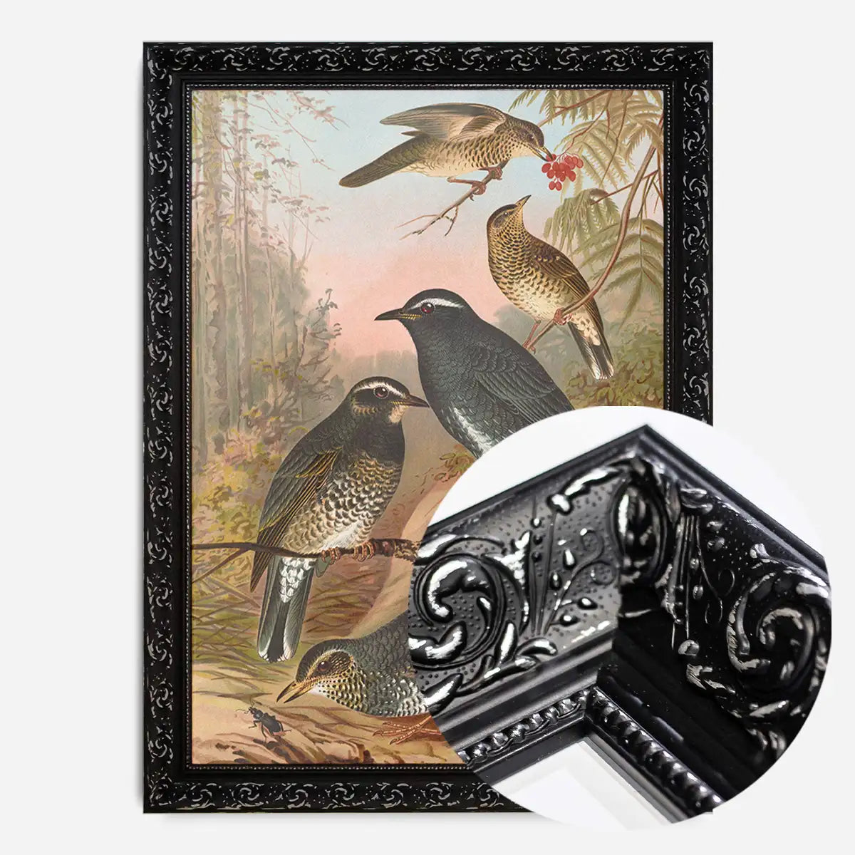 Siberian Thrush Vintage Bird Print by Johann Friedrich Naumann