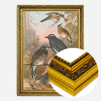 Siberian Thrush Vintage Bird Print by Johann Friedrich Naumann