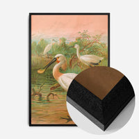 Spoonbill Vintage Bird Print by Johann Friedrich Naumann