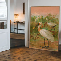 Spoonbill Vintage Bird Print by Johann Friedrich Naumann