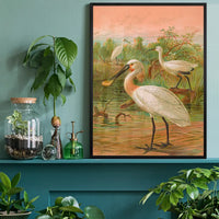 Spoonbill Vintage Bird Print by Johann Friedrich Naumann