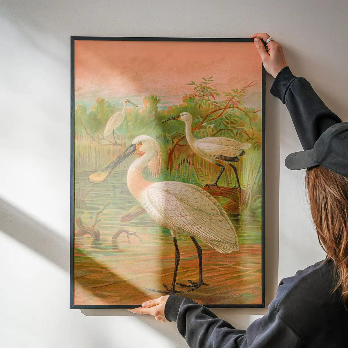 Spoonbill Vintage Bird Print by Johann Friedrich Naumann