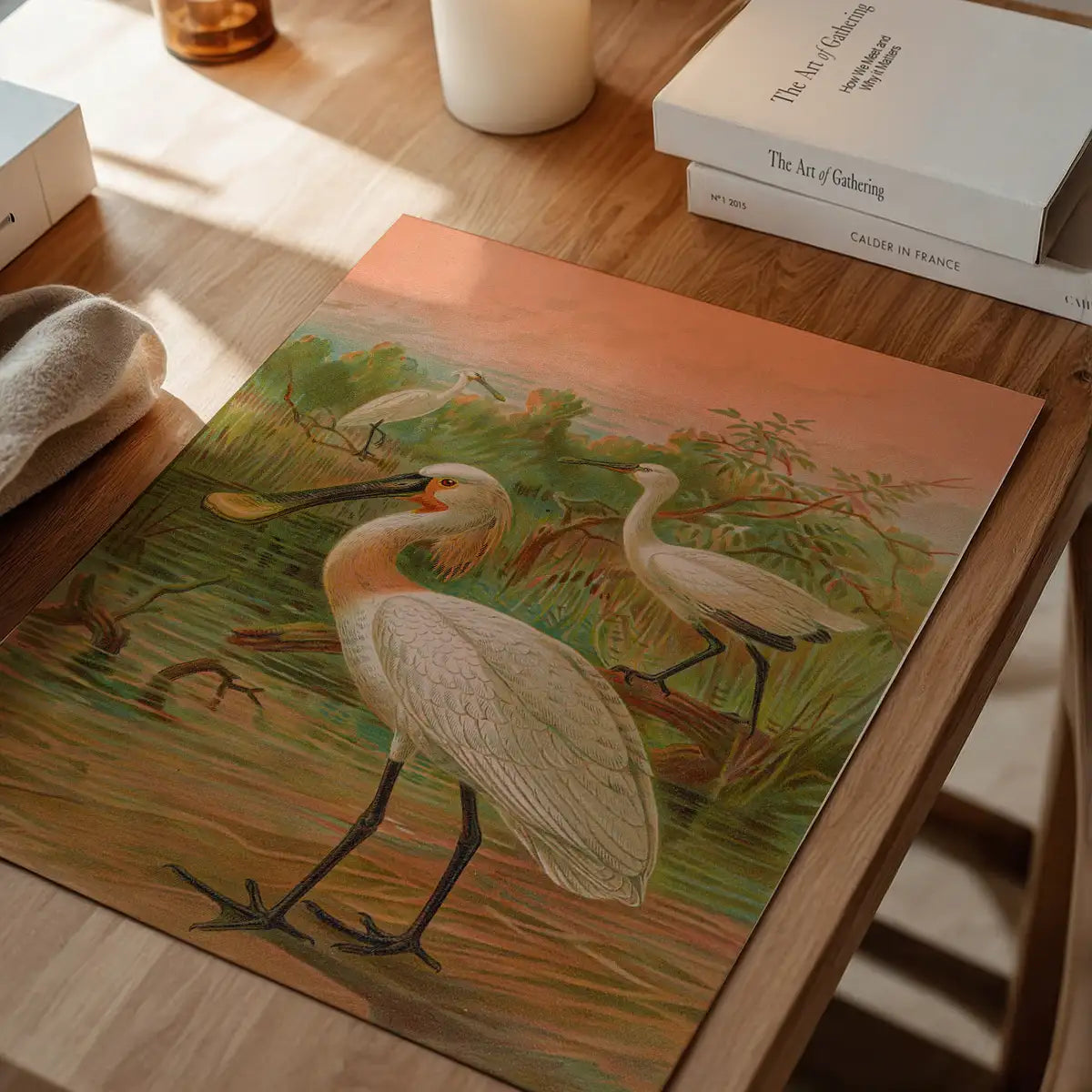Spoonbill Vintage Bird Print by Johann Friedrich Naumann