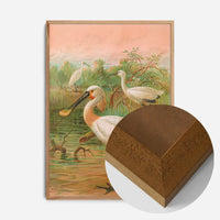 Spoonbill Vintage Bird Print by Johann Friedrich Naumann
