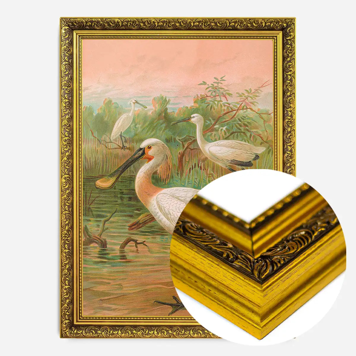 Spoonbill Vintage Bird Print by Johann Friedrich Naumann