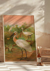 Spoonbill Vintage Bird Print by Johann Friedrich Naumann