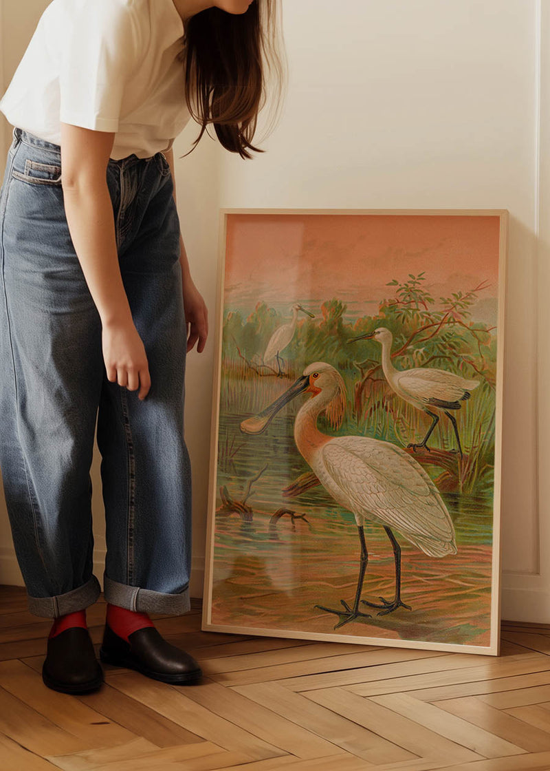 Spoonbill Vintage Bird Print by Johann Friedrich Naumann