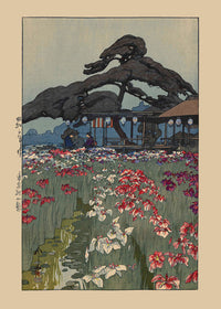 Iris Garden in Horikiri by Yoshida Hiroshi