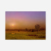 Marsh Sunset Print by Martin Johnson Heade