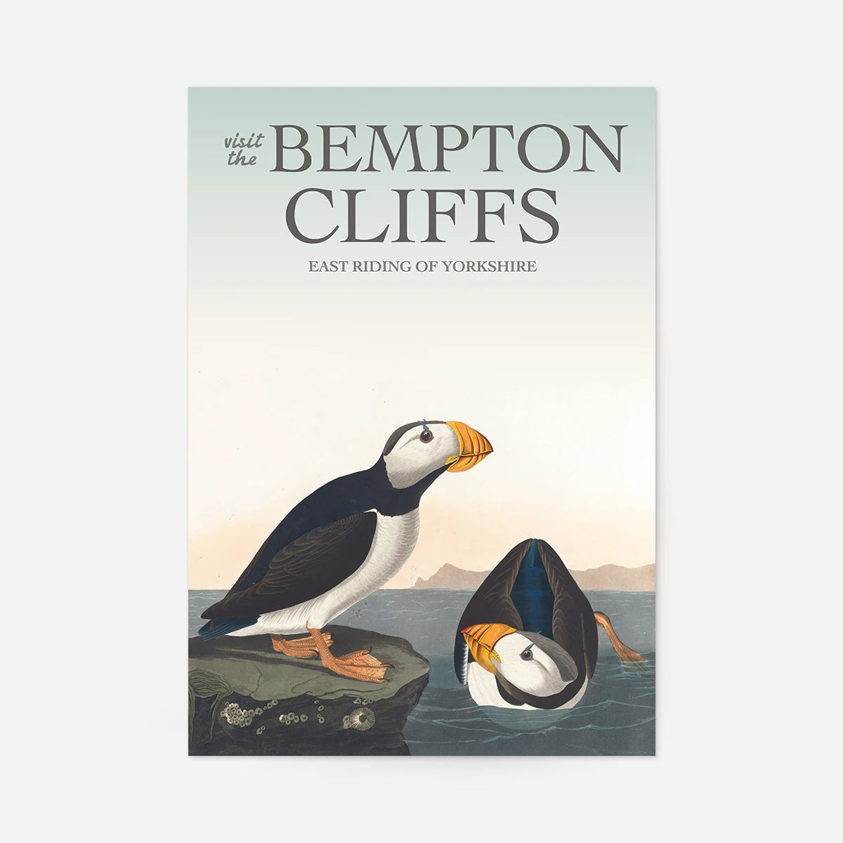 Vintage Bempton Cliffs puffin print with two illustrated puffins on a rock and in the sea, East Riding of Yorkshire