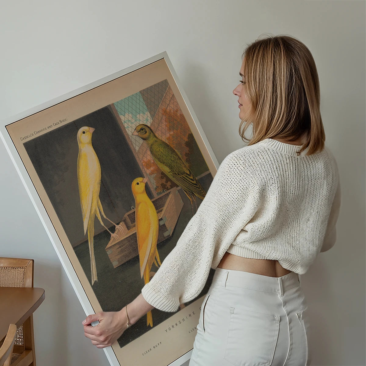 Yorkshire canaries print displayed as vintage bird wall art in a living room