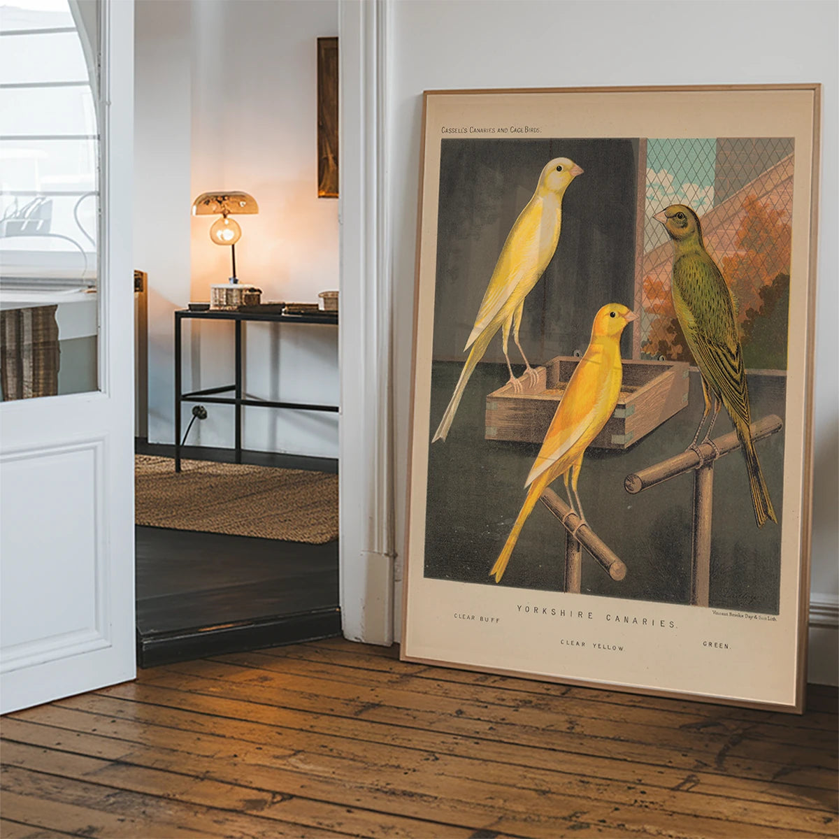 Vintage Yorkshire canaries illustration hanging in a hallway