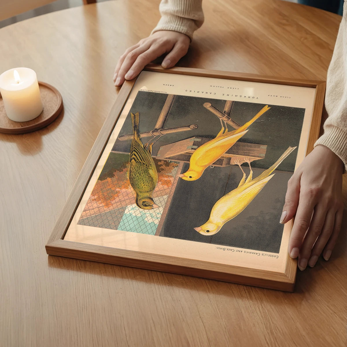 The print of three canaries as calming wall art in a bedroom