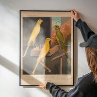 Vintage canary and cage bird artwork brightening a kitchen