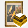 Gold Ornate Frame