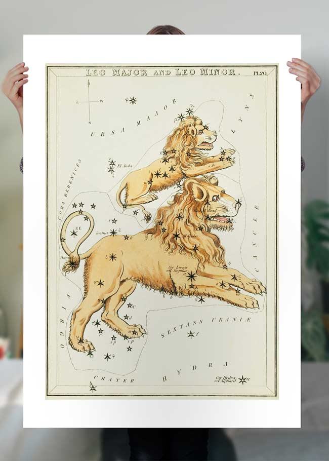 Leo Major And Leo Minor Astrology Antique Print