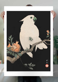 Cockatoo Parrot Antique Japanese Print