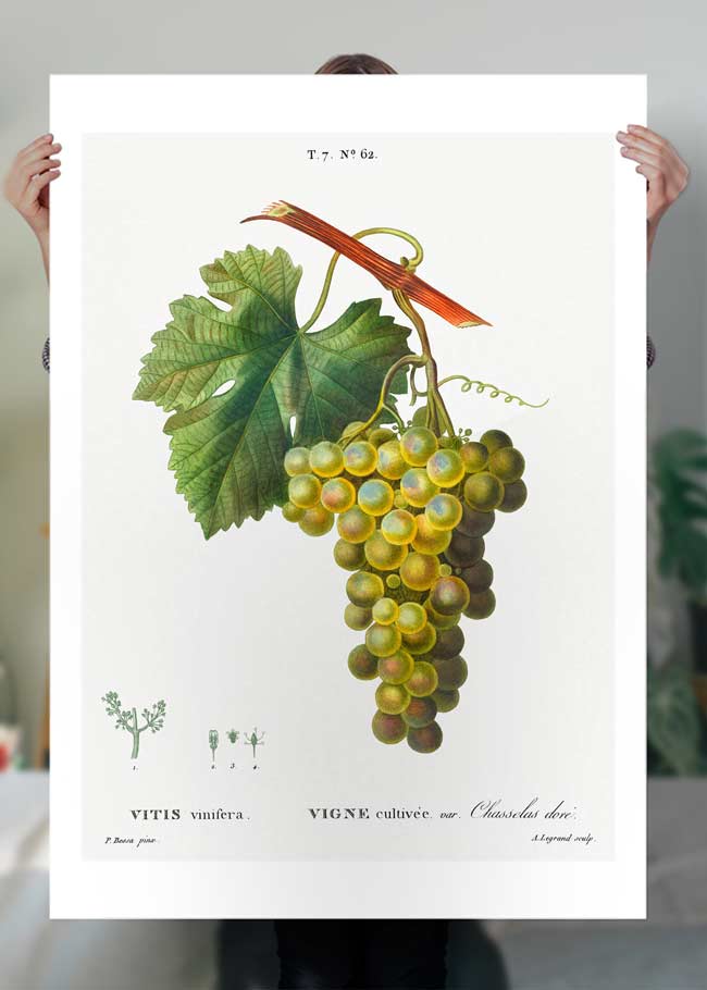 ヴィンテージ　デスク　grape bunch ヴィンテージ デスク grape bunch
