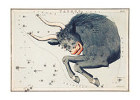 Taurus Astrology Space Vintage Antique Print