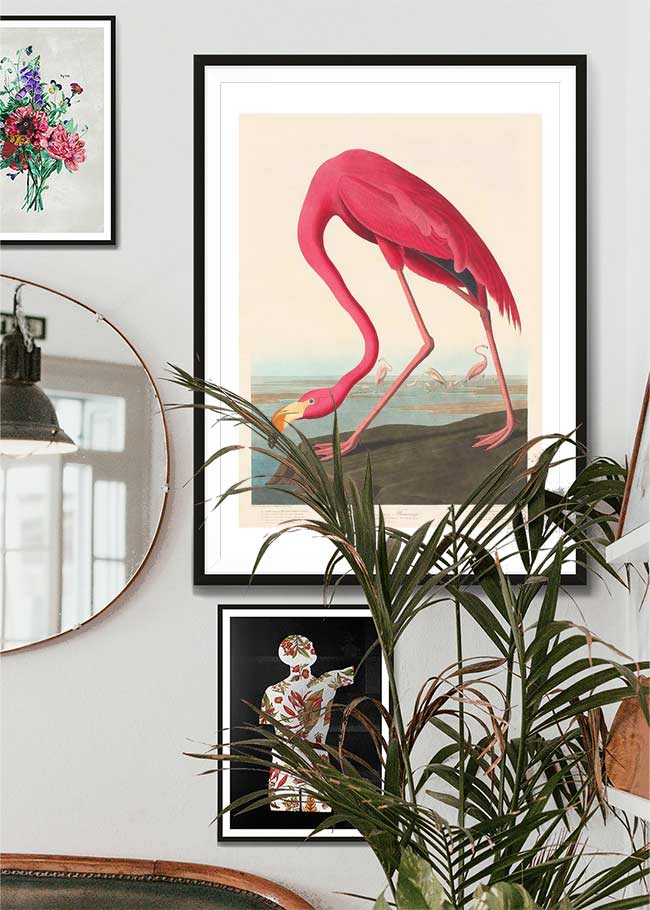American Flamingo Vintage Print  Vintage Wall Art – Wolf & Bear Prints