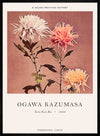 Kin-sui-ro Ogawa Kazumasa Japanese Flowers Print