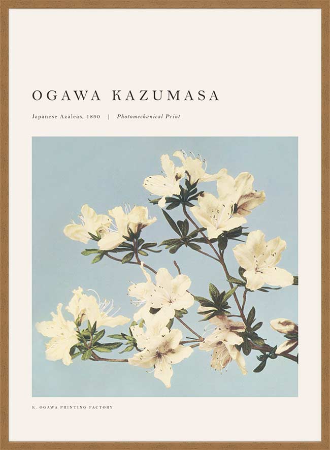 Japense Azaleas Ogawa Kazumasa Flowers Print