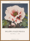 Tree Peony Ogawa Kazumasa Flowers Print