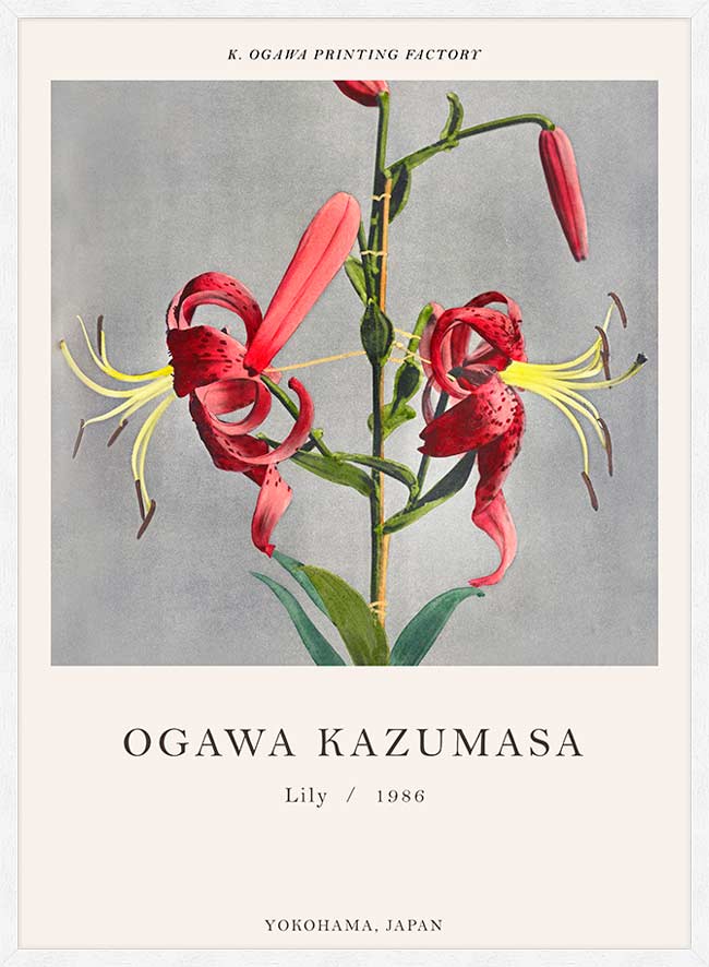 Lily Ogawa Kazumasa Flowers Print