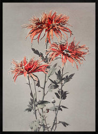Kin-shi-shi Ogawa Kazumasa Flowers Print