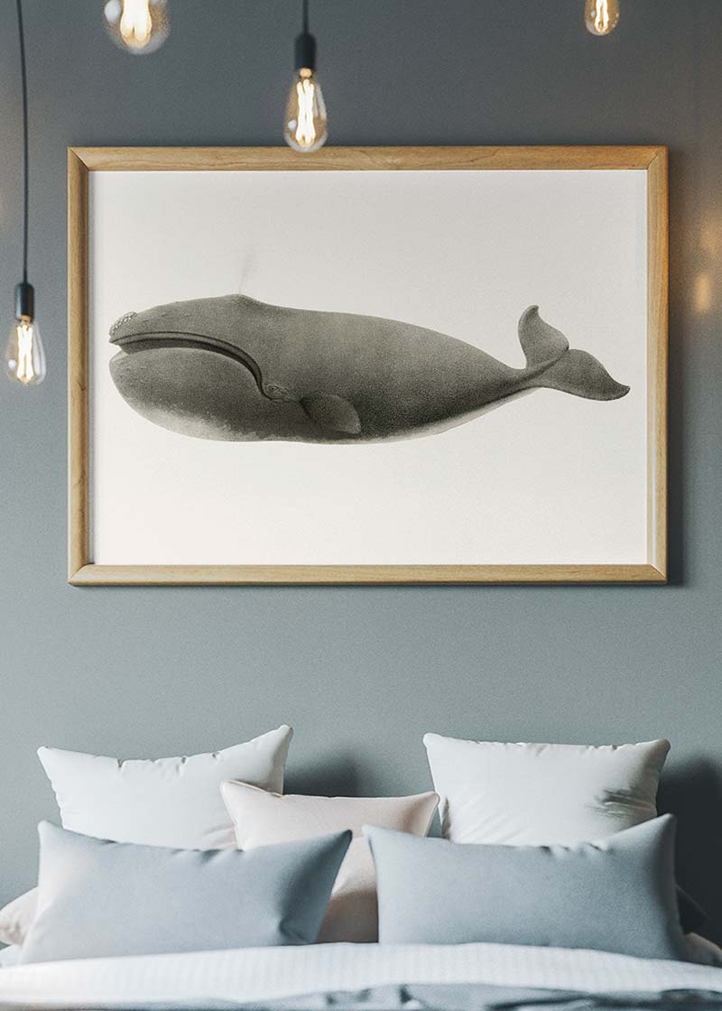 Vintage Pacific Whale Landscape Print