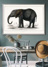 Vintage Dark Grey Elephant 1848 by Oliver Goldsmith