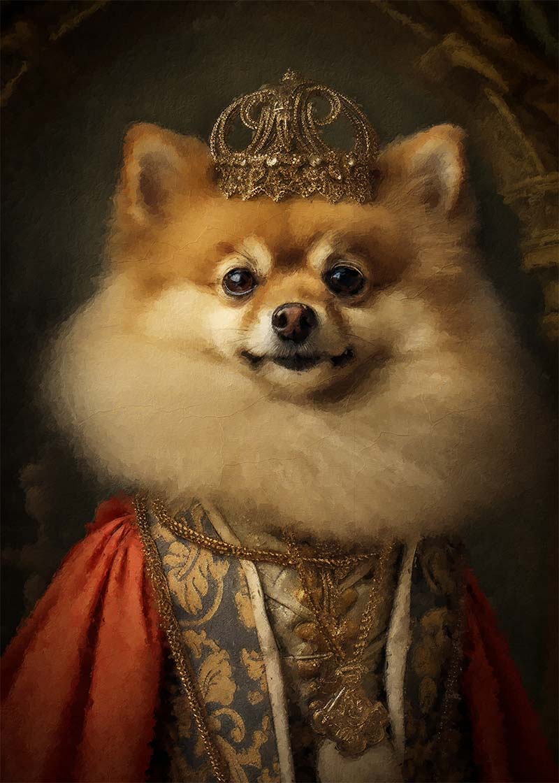 Pomeranian Animal Portrait Print