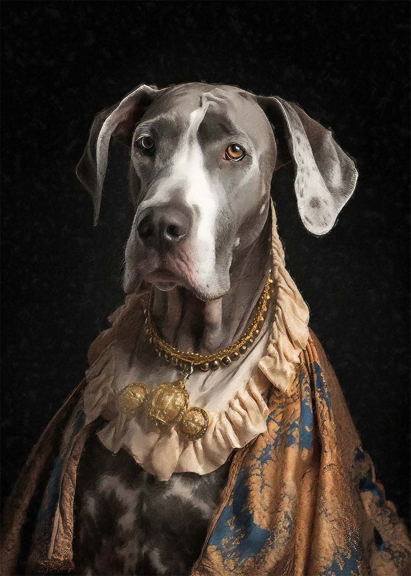 Great Dane Dog Portrait Print
