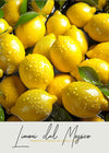 Glossy Lemons Fruit Print