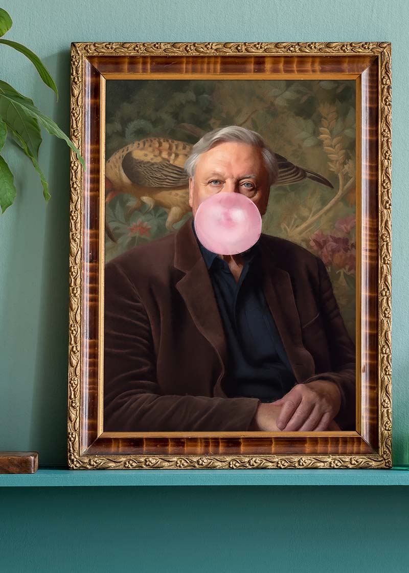 David Attenborough Blowing Bubblegum Portrait Print