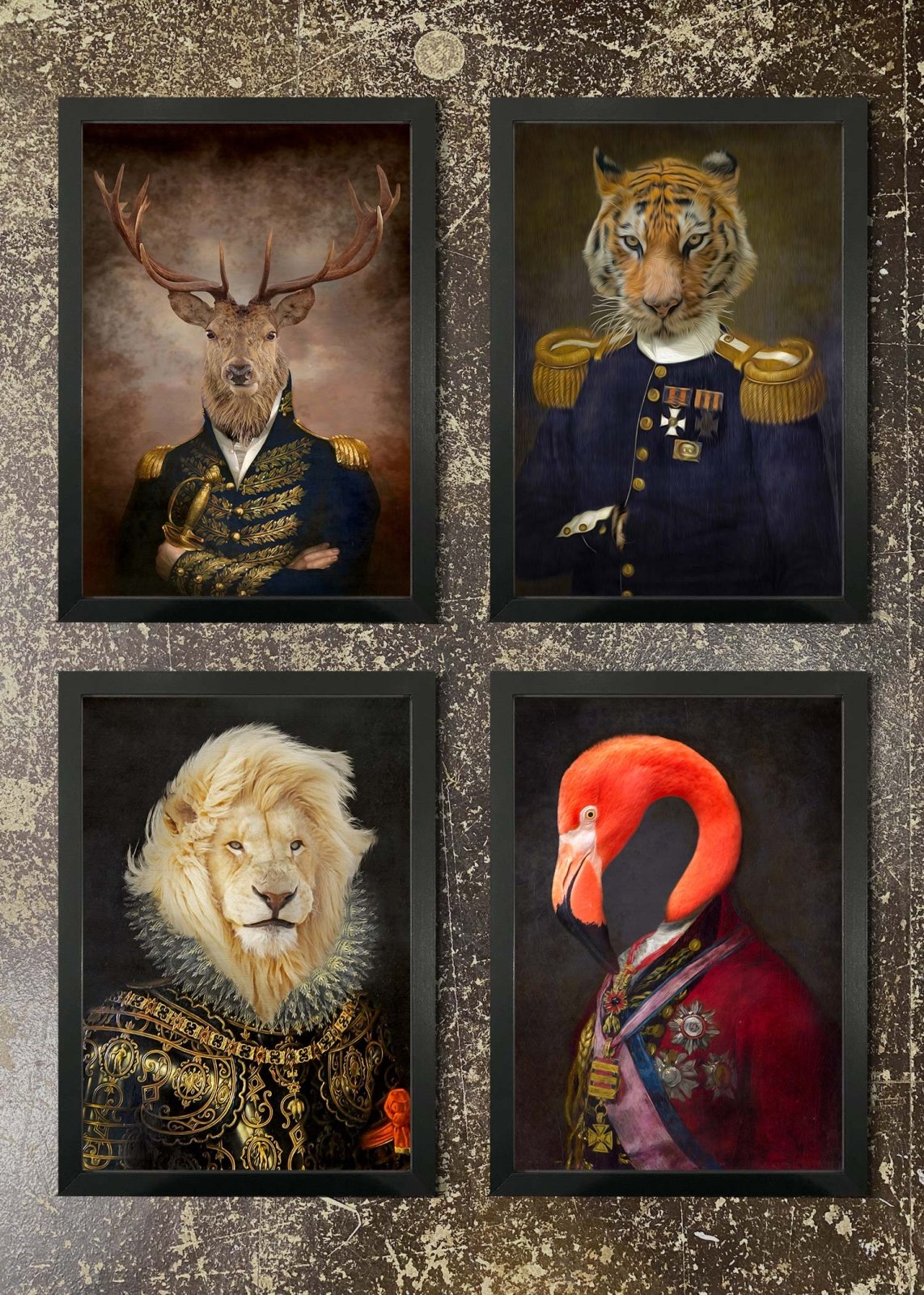 4 Prints & Frames - Stag, Tiger, Lion, Flamingo