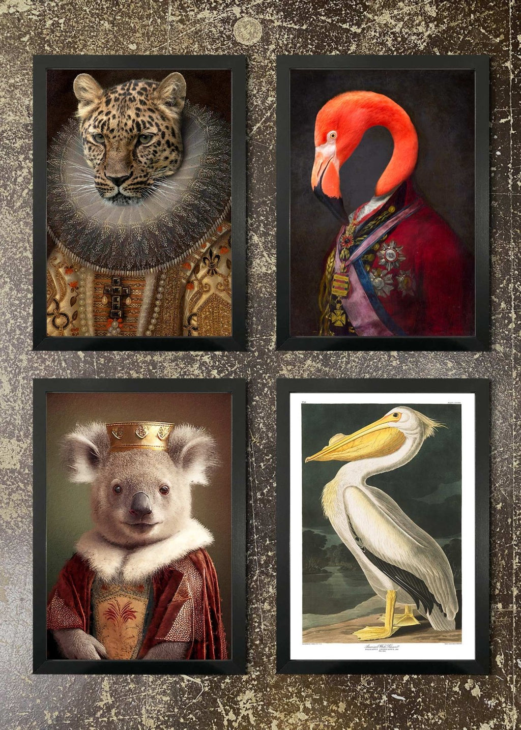 4 Framed 21x30cm Prints Animals &amp Pelican