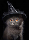 Witch Kitten Halloween Print